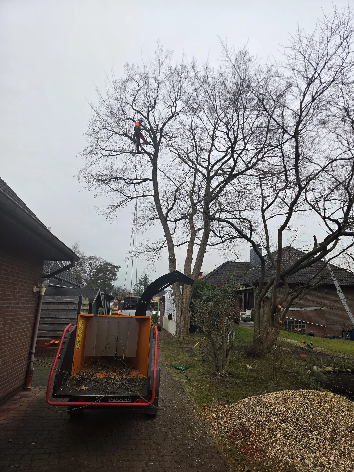 Seilklettertechnik